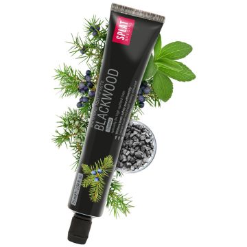 SPLAT Blackwood toothpaste with activated charcoal (vegan)
